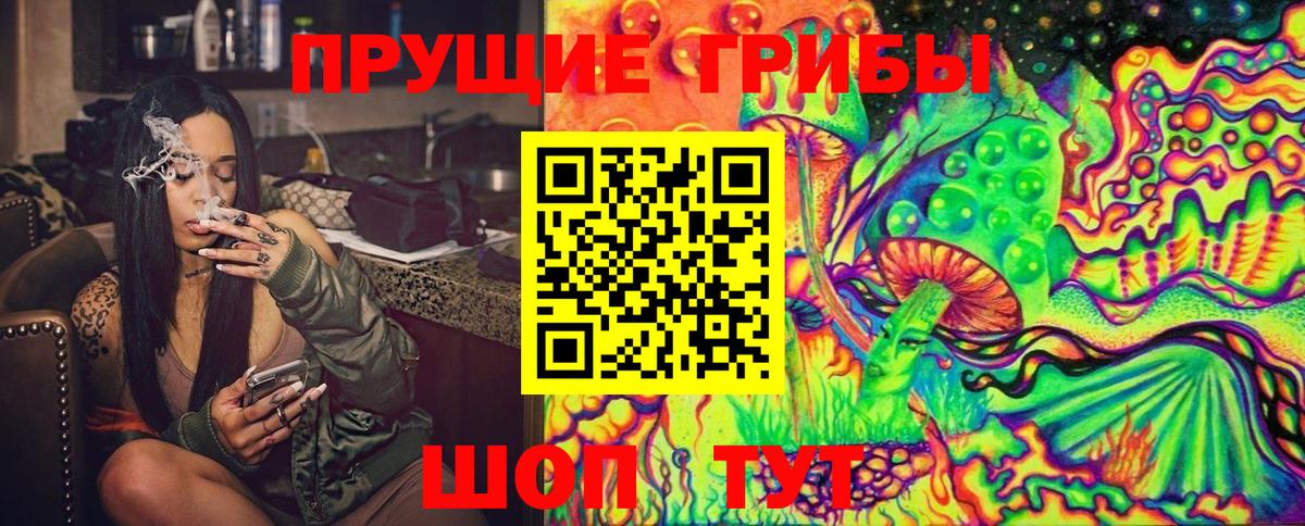 Псилоцибиновые грибы Psilocybe Черняховск