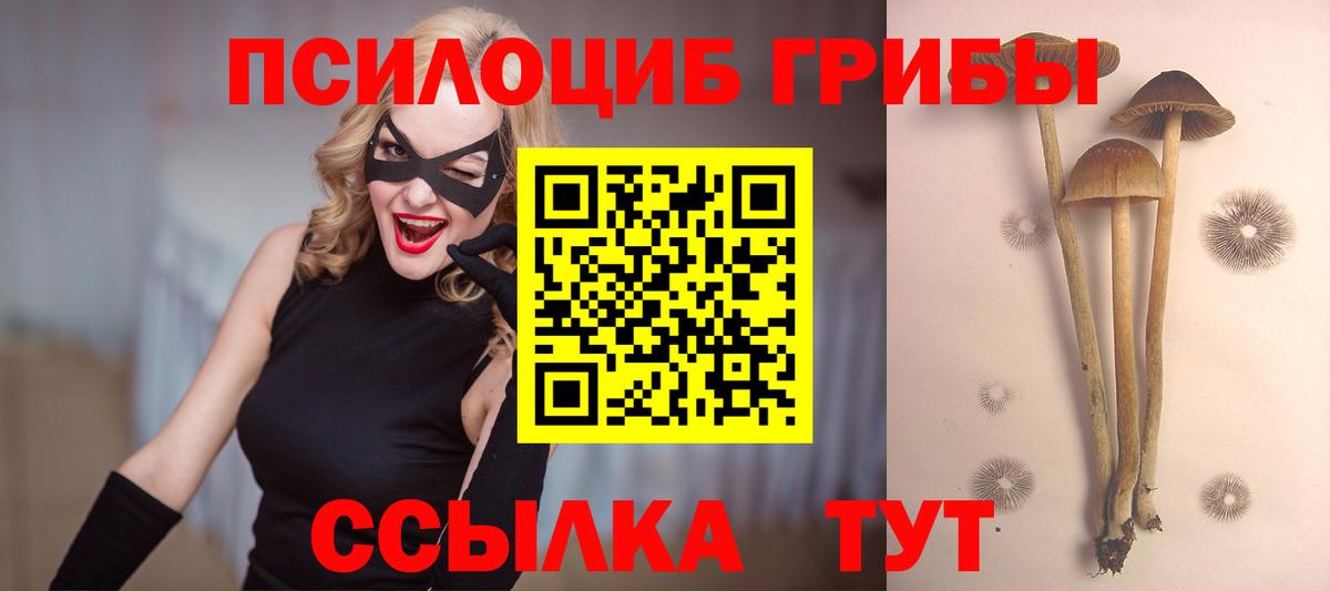 Черняховск  Галлюциногенные грибы мицелий  Вход с VPN 